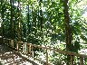 Another path near our hut