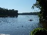 View down river