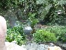 Hot springs in a natural setting