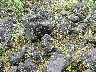 Lava flow 1