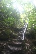 Steps up to the lava flow from the volcano