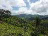 Hilly landscape