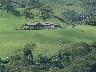 Mata De Cana whole area owned by Perez family