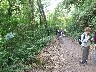 Walk through cloud forest