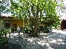 Museum gardens