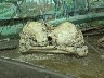 Packet burials as a second burial around 500BC