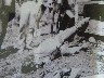 Showing how the prisoners could not move when attached by one foot