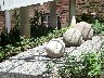 The old stones with a butterfly on the small one