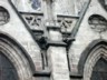 Cathedral - sea lions gargoyle