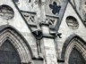 Cathedral - turtles gargoyle