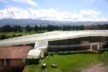 The rose farm with its rain protection