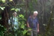 In the mists of a cloud forest