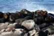 Sally lightfoot crabs and marine iguanas