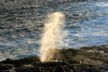 The blowhole 3