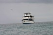 Our boat 2