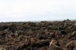 North facing lava