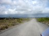 The dirt track to the breeding centre