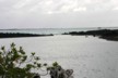 The shark lagoon