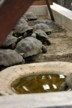 Tortoises in their breeding pens