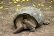 You can't see me