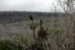 Santa Fe view