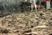 The path we walked