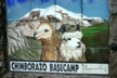 Chimborazo Basecamp 2