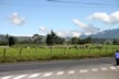 Dairy farming