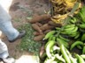 Latacunga market 16