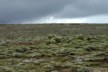 The mountainside