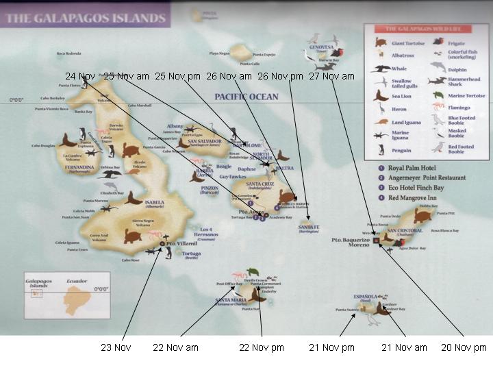 Galapagos Islands