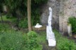 Swan 1
