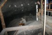 Saltmine 59