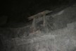 Saltmine 72