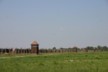 Auschwitz II 44