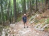 Forest walk in the dry
