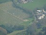 Swanmore - Apple orchard