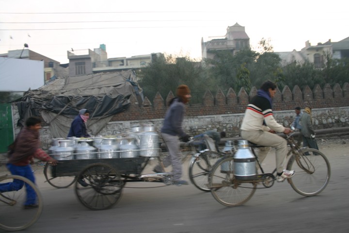 Home Milk Delivery