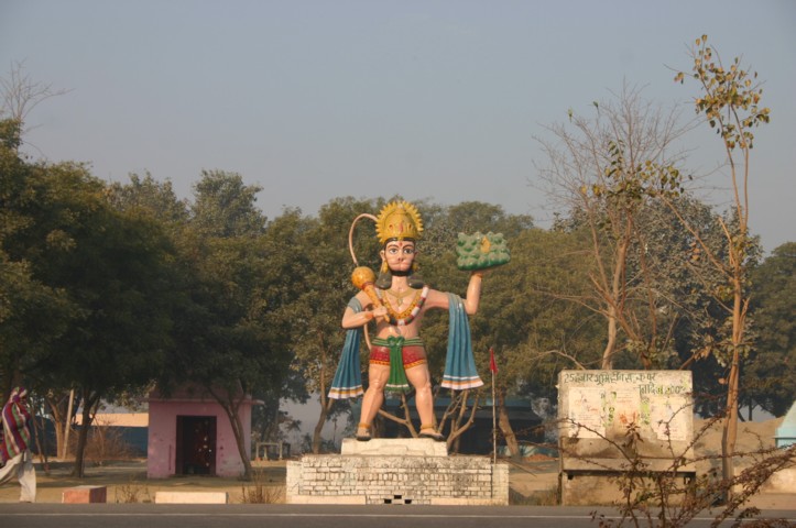 Monkey mosque