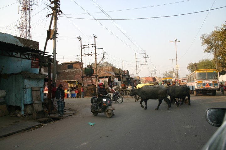 Road block in Agra