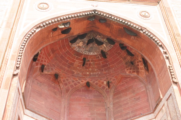 Bees in the bonnet of the north entrance
