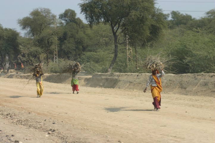 Carrying wood for some reason or other