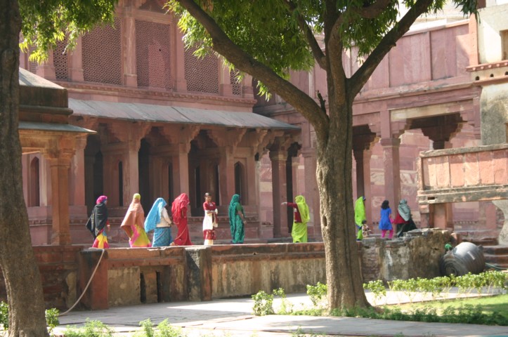 Colourful visitors