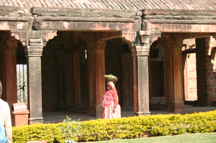 Lady carries load for photos and rupees