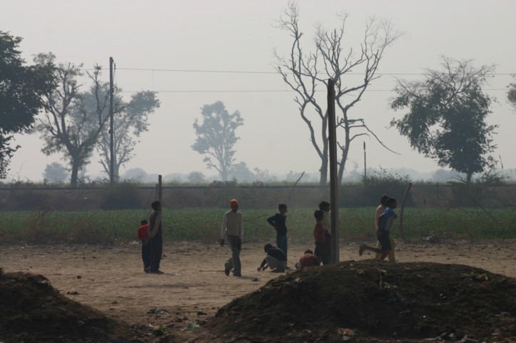 Playing cricket as always 1