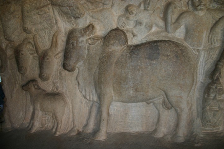 Carvings 4