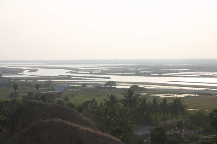 Views of rice fields