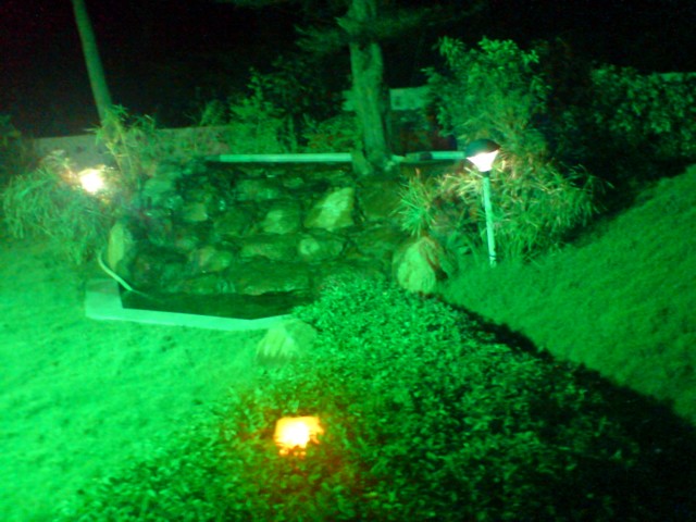 Green lighting at the beach buffet