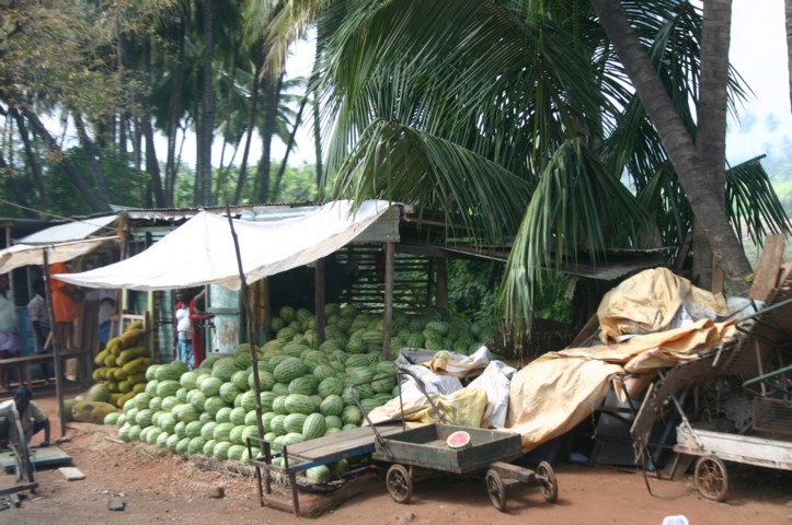 Watermelons