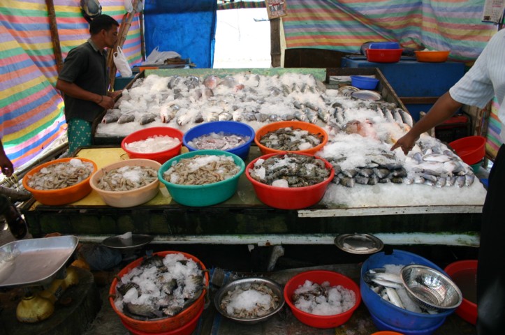 Wonderful fish
